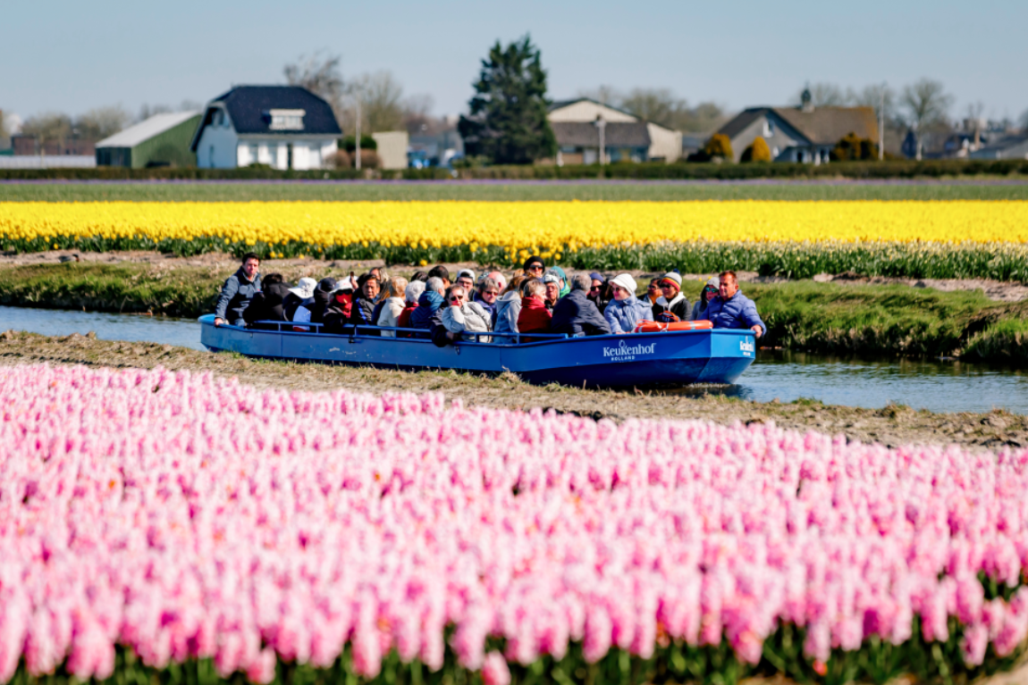 KEUKENHOF - VUON HOA TULIP LON NHAT THE GIOI