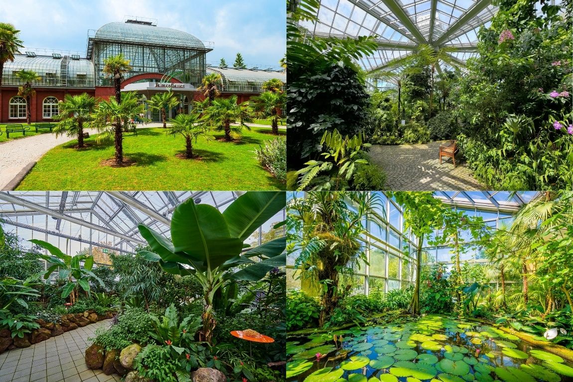 Frankfurt - Khu vườn Palmengarten