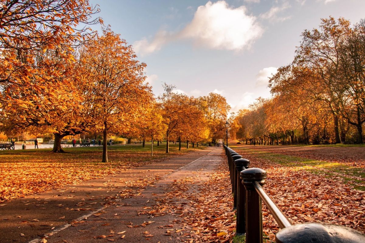 Hyde Park