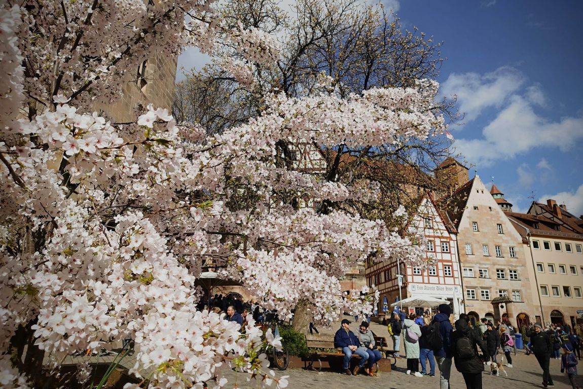Nuremberg mùa xuân (2)