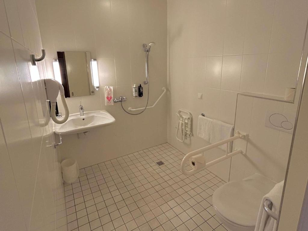 ibis esch belval (6)