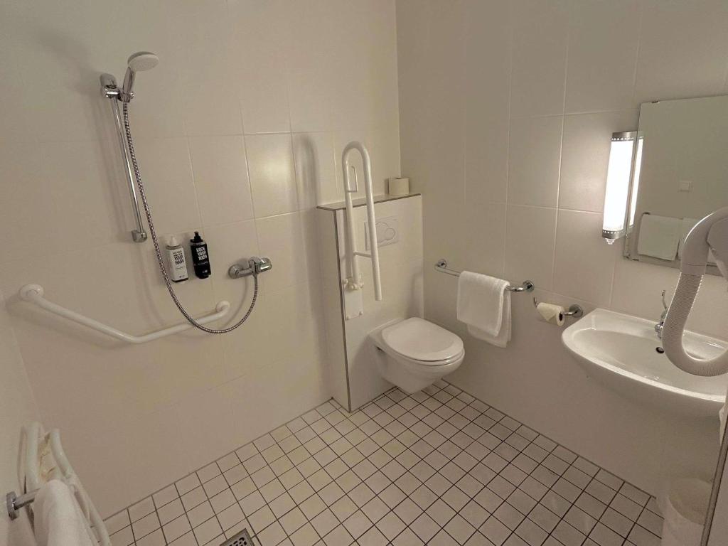 ibis esch belval (7)